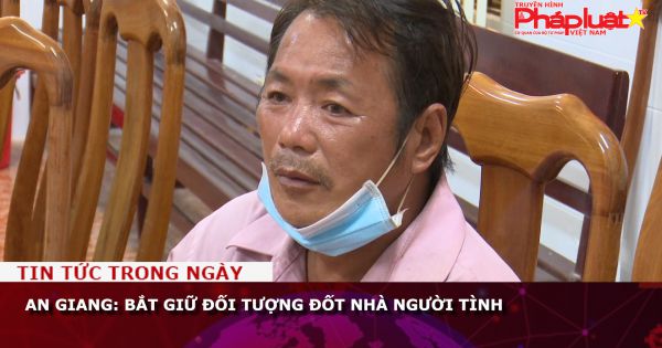 An Giang: Bắt giữ đối tượng đốt nhà người tình