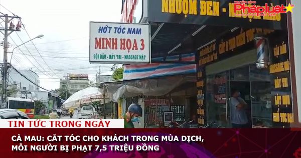 Cà Mau: Cắt tóc cho khách trong mùa dịch, mỗi người bị phạt 7,5 triệu đồng