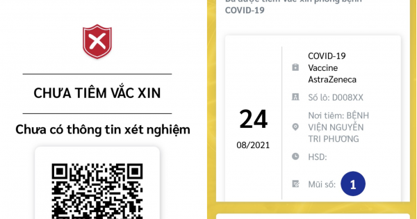 TP.HCM sẽ cập nhật thông tin tiêm vaccine của người dân trước 15/9