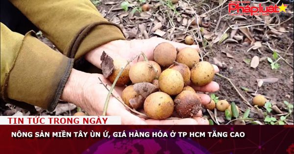 Nông sản miền Tây ùn ứ, giá hàng hóa ở TP HCM tăng cao