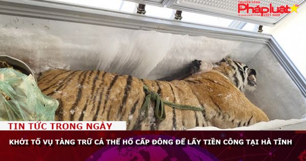 Khởi tố vụ tàng trữ cá thể hổ cấp đông để lấy tiền công tại Hà Tĩnh