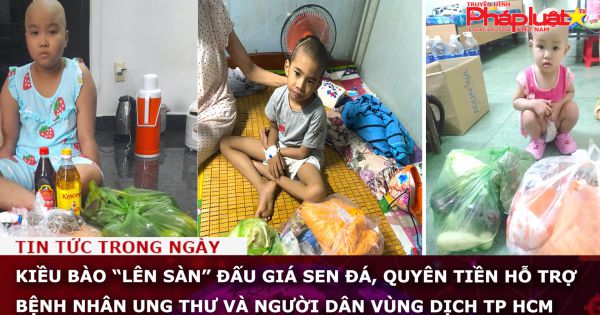 Kiều bào “lên sàn” đấu giá sen đá, quyên tiền hỗ trợ bệnh nhân ung thư và người dân vùng dịch TP HCM