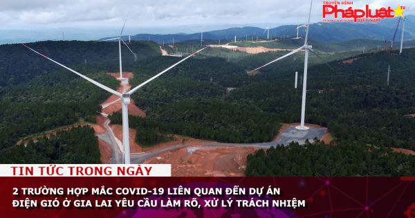 2 trường hợp mắc COVID-19 liên quan đến dự án điện gió ở Gia Lai yêu cầu làm rõ, xử lý trách nhiệm