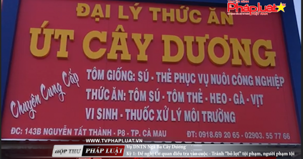 Vụ DNTN Ngã Ba Cây Dương - Kỳ 1: Đề nghị Cơ quan điều tra vào cuộc - Tránh “bỏ lọt” tội phạm, người phạm tội