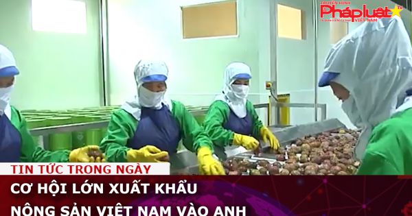 Cơ hội lớn xuất khẩu nông sản Việt Nam vào Anh