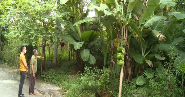 Hà Giang: Người khai hoang đất 60 năm, bỗng dưng mất trắng?