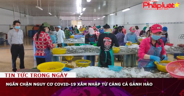 Ngăn chặn nguy cơ Covid-19 xâm nhập từ Cảng cá Gành Hào
