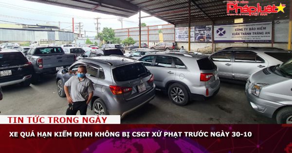 Xe quá hạn kiểm định không bị CSGT xử phạt trước ngày 30-10
