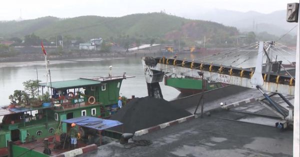 Bắt khẩn cấp 4 cán bộ, nhân viên Công ty Tuyển than Hòn Gai