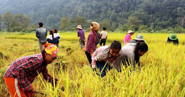 Đưa Nghị quyết Đại hội lần thứ XIII của Đảng vào cuộc sống: Nỗ lực hoàn thành cam kết với quốc tế về phát triển bền vững, xóa đói giảm nghèo