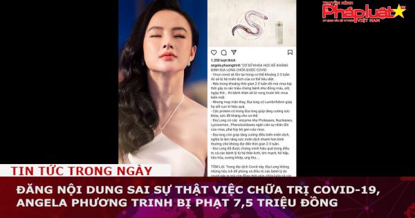 Đăng nội dung sai sự thật việc chữa trị Covid-19, Angela Phương Trinh bị phạt 7,5 triệu đồng