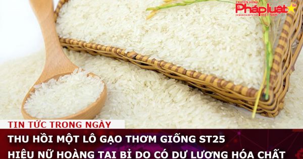 Thu hồi một lô gạo thơm giống ST25 hiệu Nữ hoàng tại Bỉ do có dư lượng hóa chất