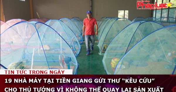 19 nhà máy tại Tiền Giang gửi thư “kêu cứu” cho Thủ tướng vì không thể quay lại sản xuất