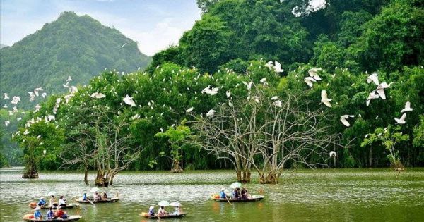 USAID và các đối tác khởi động dự án gần 3 triệu USD để bảo tồn môi trường sống ven biển ĐBSCL