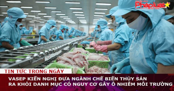 VASEP kiến nghị đưa ngành chế biến thủy sản ra khỏi danh mục có nguy cơ gây ô nhiễm môi trường