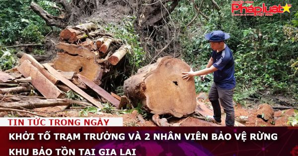Khởi tố trạm trưởng và 2 nhân viên bảo vệ rừng khu bảo tồn tại Gia Lai