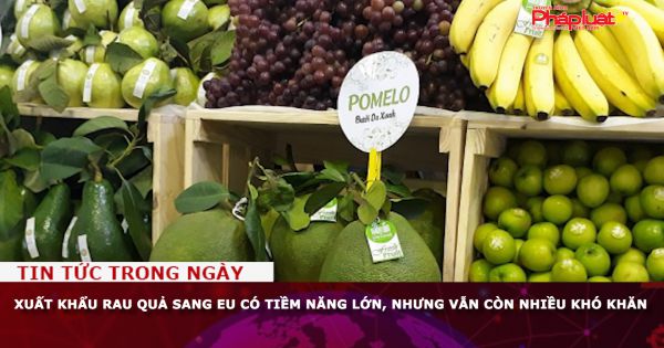 Xuất khẩu rau quả sang EU có tiềm năng lớn, nhưng vẫn còn nhiều khó khăn