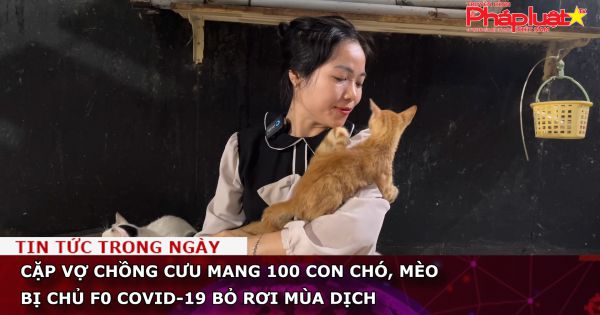 Cặp vợ chồng cưu mang 100 con chó, mèo bị chủ F0 Covid-19 bỏ rơi mùa dịch