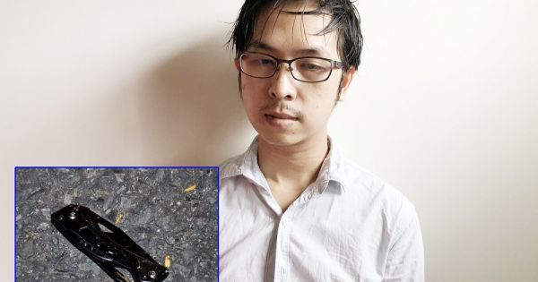 Khởi tố, bắt giam kẻ cướp đâm vợ chồng nguyên giám đốc Sở Xây dựng Trà Vinh