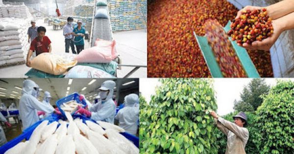10 tháng qua giá nhiều mặt hàng nông sản xuất khẩu tăng mạnh