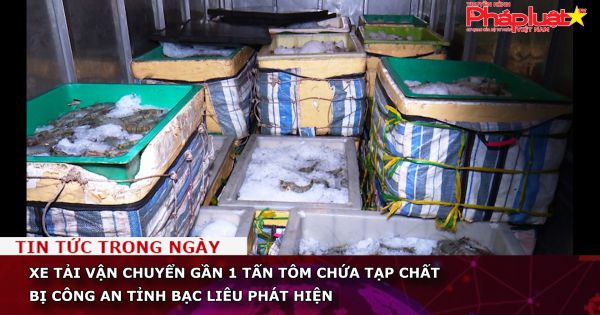 Xe tải vận chuyển gần 1 tấn tôm chứa tạp chất bị công an tỉnh Bạc Liêu phát hiện