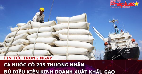 Cả nước có 205 thương nhân đủ điều kiện kinh doanh xuất khẩu gạo