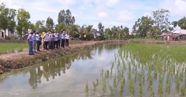 Cà Mau: Thới Bình phấn đầu về đích huyện điểm nông thôn mới