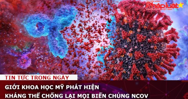 Giới khoa học Mỹ phát hiện kháng thể chống lại mọi biến chủng nCoV