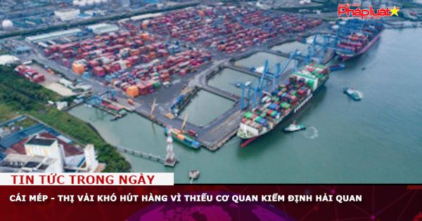 Cái Mép - Thị Vải khó hút hàng vì thiếu cơ quan kiểm định hải quan