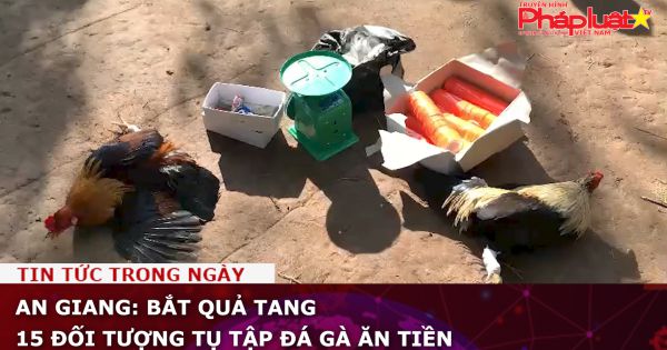An Giang: Bắt quả tang 15 đối tượng tụ tập đá gà ăn tiền