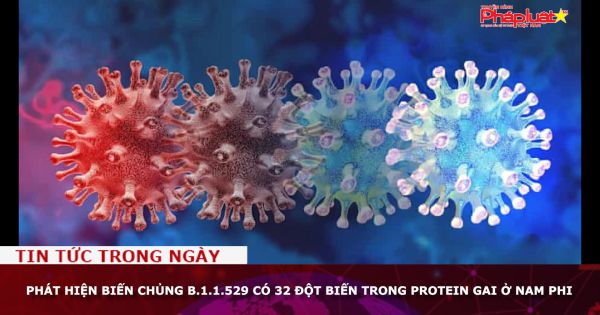 Phát hiện biến chủng B.1.1.529 có 32 đột biến trong protein gai ở Nam Phi