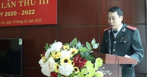 Buộc thôi việc Chánh thanh tra tỉnh Lào Cai sử dụng bằng giả