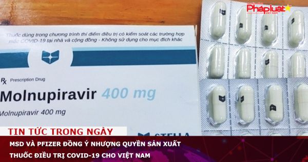 MSD và Pfizer đồng ý nhượng quyền sản xuất thuốc điều trị Covid-19 cho Việt Nam