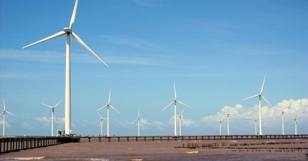 Bến Tre: Nhà máy điện gió đầu tiên chính thức đi vào hoạt động