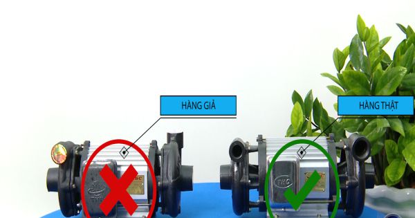 Tân Hoàn Cầu- Gian nan trên hành trình bảo vệ thương hiệu