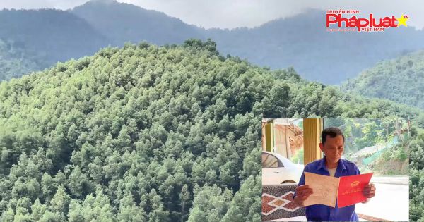 Bất cập kéo dài trong công tác giao và quản lý rừng tại xã Tân Minh, huyện Đà Bắc, tỉnh Hòa Bình