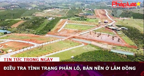 Điều tra tình trạng phân lô, bán nền ở Lâm Đồng