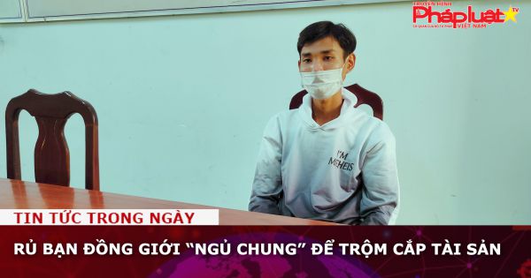 Rủ bạn đồng giới “ngủ chung” để trộm cắp tài sản