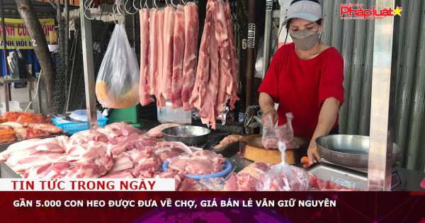 Gần 5.000 con heo được đưa về chợ, giá bán lẻ vẫn giữ nguyên