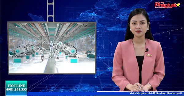 Bản tin Doanh nghiệp 24/7 ngày 13/12/2021