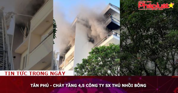 Tân Phú, TP HCM: - Cháy tầng 4,5 công ty SX thú nhồi bông