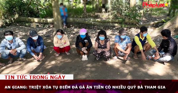 An Giang: Triệt xóa tụ điểm đá gà ăn tiền có nhiều quý bà tham gia