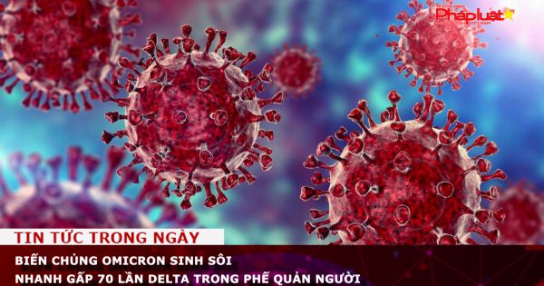 Biến chủng Omicron sinh sôi nhanh gấp 70 lần Delta trong phế quản người