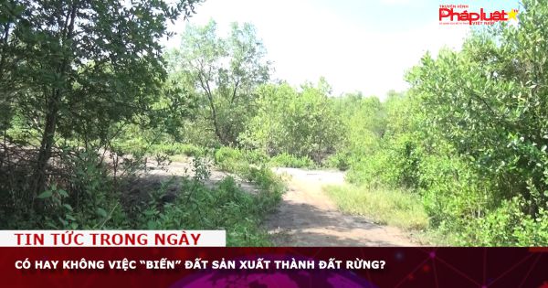 Có hay không việc “biến” đất sản xuất thành đất rừng?
