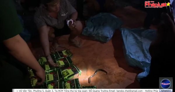 Phá đường dây vận chuyển ma túy trái phép từ Campuchia vào Việt Nam