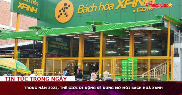 Trong năm 2022, Thế Giới Di Động sẽ dừng mở mới Bách Hoá Xanh