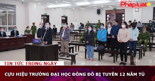 Cựu Hiệu trưởng Đại học Đông Đô bị tuyên 12 năm tù