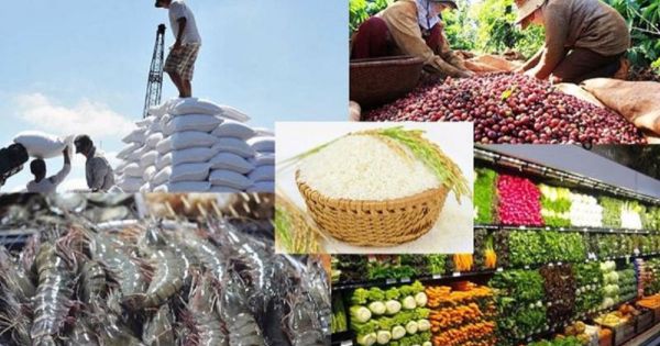 Xuất khẩu nông, lâm, thủy sản năm 2021 đạt mốc kỷ lục hơn 48 tỷ USD