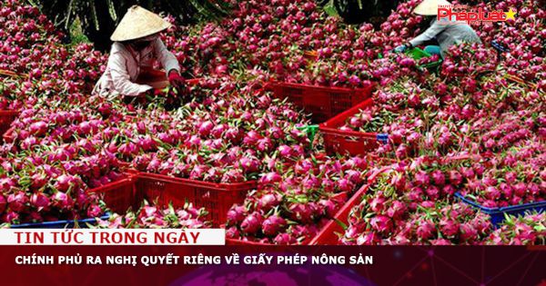 Chính phủ ra Nghị quyết riêng về giấy phép nông sản