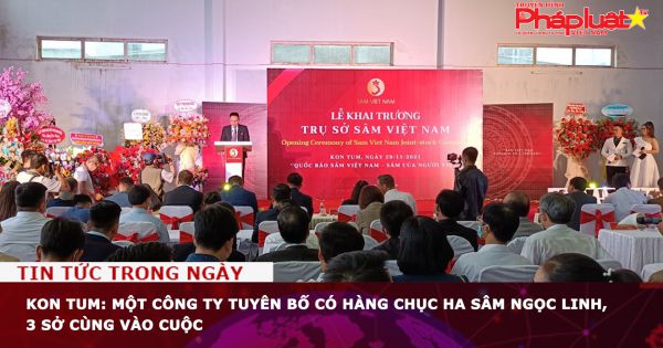 Kon Tum: Một công ty tuyên bố có hàng chục ha sâm Ngọc Linh, 3 sở cùng vào cuộc